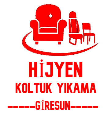  Giresun Hijyen Koltuk Yıkama